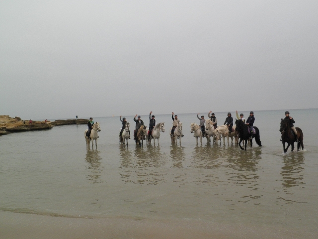 Saludos desde el mar a caballo